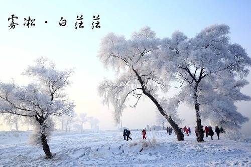 1455273223323276.jpg 东北赏雪.jpg