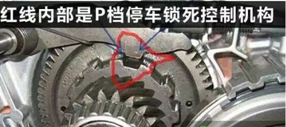 1457422583222556.jpg