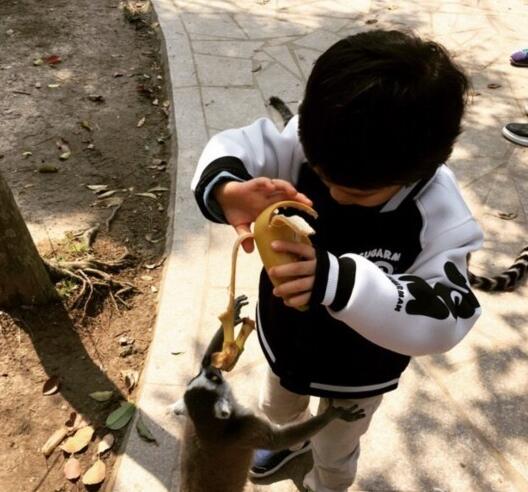 QQ截图20160405094738.jpg