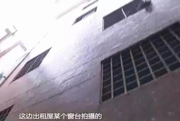 6941181610648190899_副本.jpg