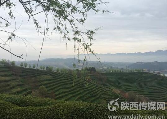 1460355012893456.jpg QQ截图20160411140904.jpg