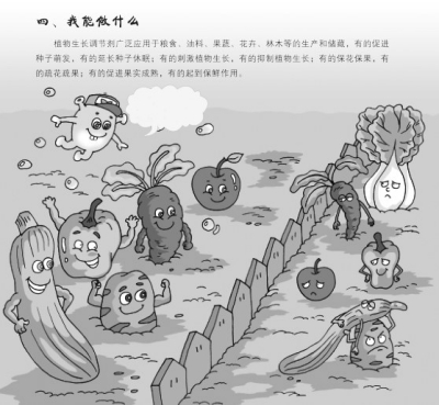 p67_b.jpg