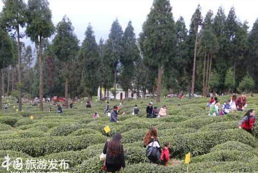 QQ截图20160414113329.jpg