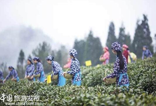 QQ截图20160414113438.jpg