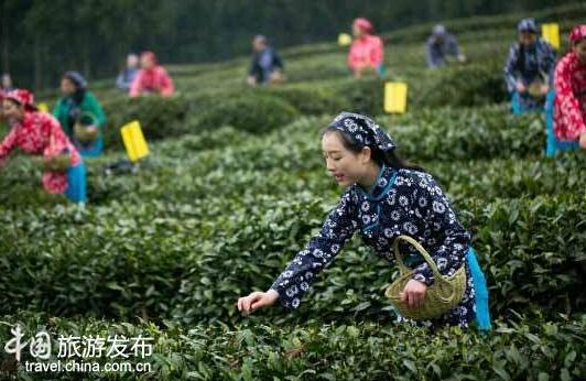 QQ截图20160414113444.jpg