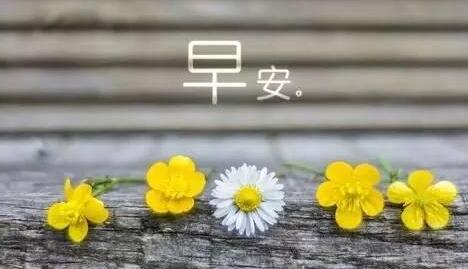 QQ截图20160422115811.jpg