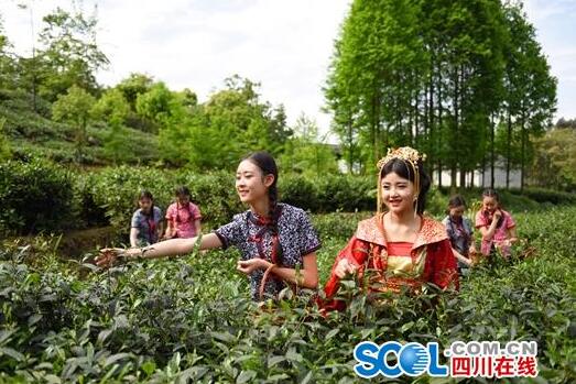 1461831676934334.jpg QQ截图20160428162024.jpg