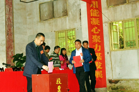 选举投票_副本.jpg
