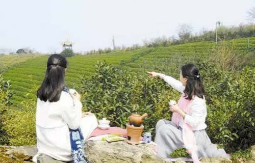 配图