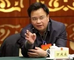 广州市原市长万庆良.jpg