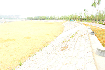 003为大坝地段向阳斜坡.jpg