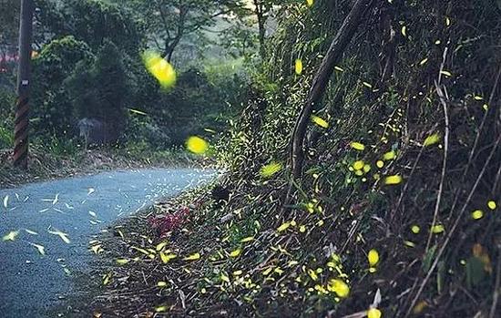 泰国,班洛姆苑村
