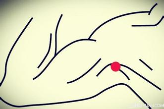 u=837435543,830242533&fm=21&gp=0.jpg