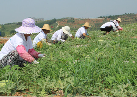 1466745882767288.jpg img_0146_副本.jpg