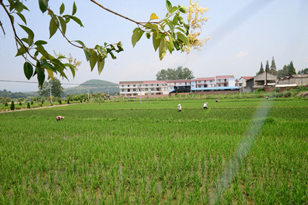 A8D6C5DB@555A9C00.F3B76F57_recompress.JPG