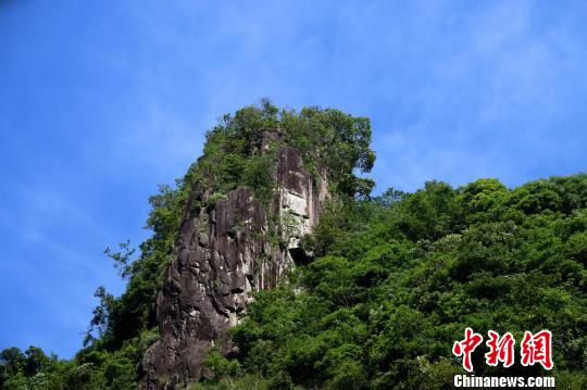 马洋村边的黄兰大峡谷是一片亘古荒僻的“处女地”，这里山林葱郁，竹海绵延，岩奇洞幽，涧水潺潺。青山绿水间，猕猴、山麂、豹子、山羊、豪猪等珍禽异兽出没林区。漫步其间，奇观迭出，令人流连忘返。何家进摄