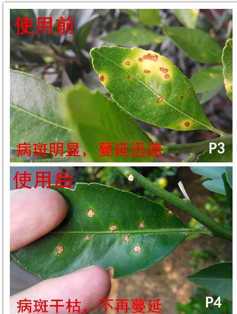 QQ图片20160629163623.png