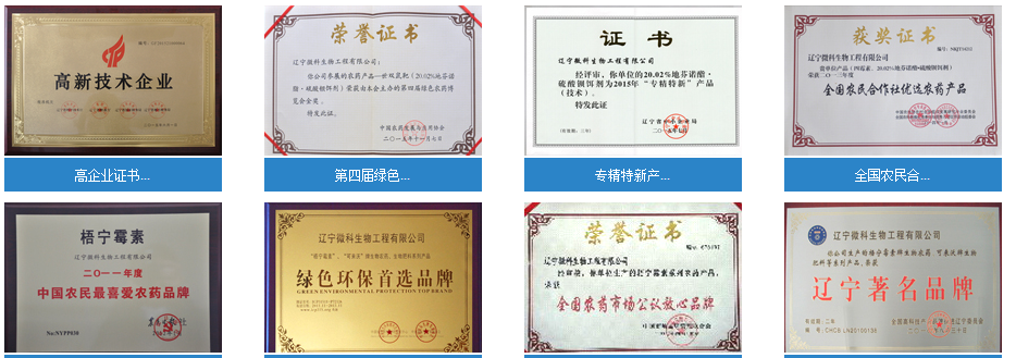 图片7.png