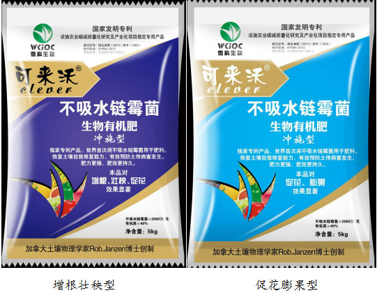 图片13.png