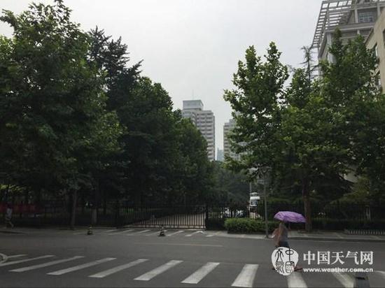 24日白天,北京天气闷热。(刘文静 摄)