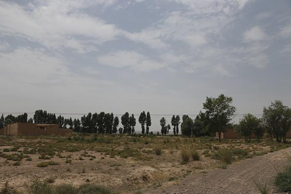 02.jpg