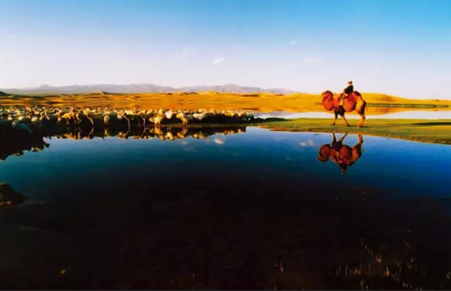 1470819730275284.png
