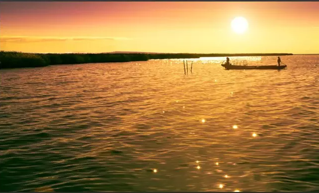1470820120317678.png