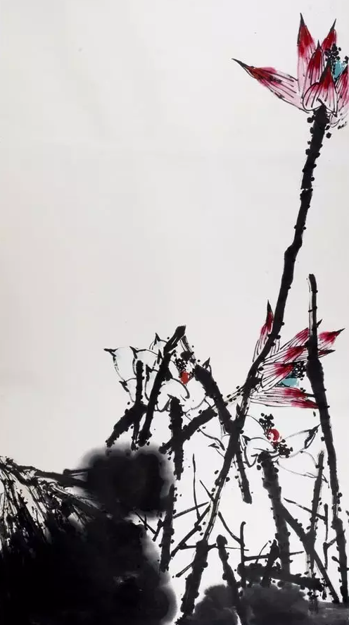 QQ图片20160831122537.png