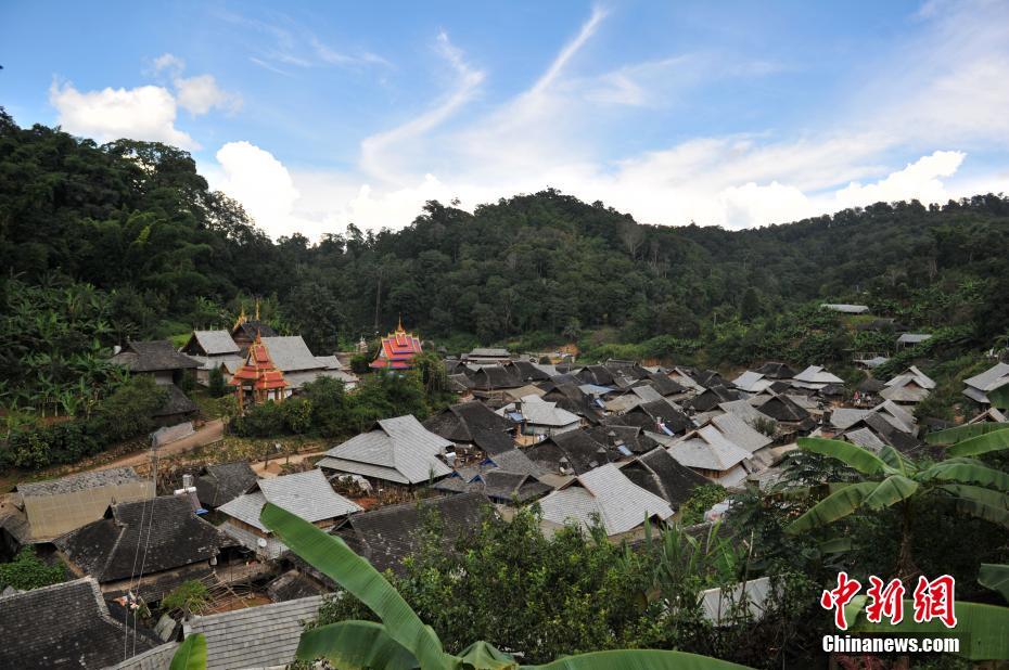 9月16日,云南澜沧景迈山上的少数民族村寨。云南澜沧景迈山,是普洱茶的主要产区之一,山上居住着拉祜族、布朗族、傣族等多个少数民族,这些少数民族世代制茶,景迈山得天独厚的自然环境和茶人们精湛的手艺使这里的普洱茶远近闻名。据景迈山翁基村布朗族村民介绍,他们的家庭年收入达到40万元左右,这在当地属于中等收入水平。据公开资料显示,景迈山的少数民族种茶有近2000年的历史。是普洱茶的原生地之一。 中新社记者 任东 摄