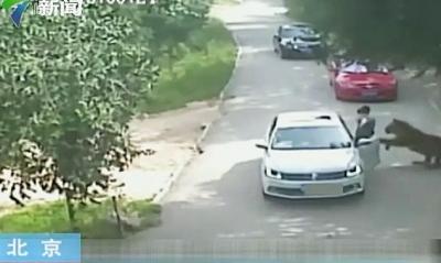 139185756.jpg