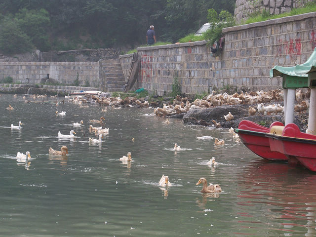 南海泉.jpg