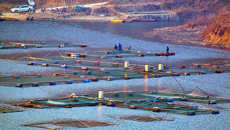 南海水库.jpg
