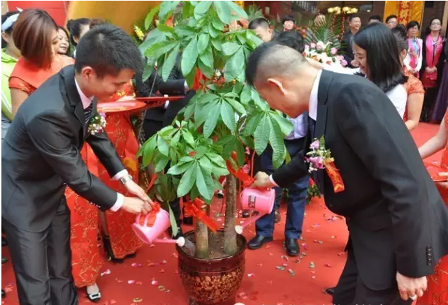 图片8.png 图片8.png