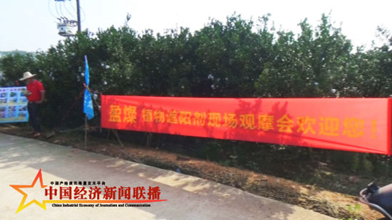 图片11.jpg