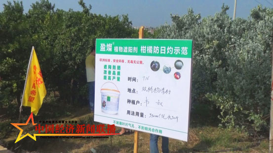 图片13.jpg
