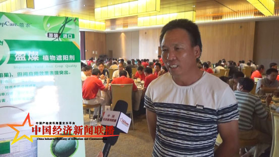 图片31.jpg