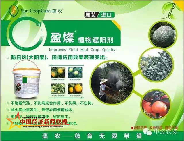 图片33.jpg