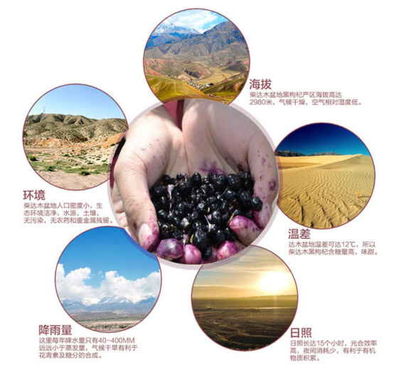 图片37.png