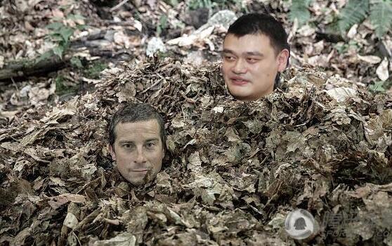 04.jpg