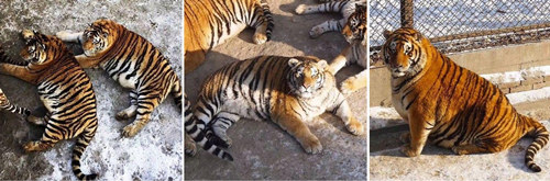 猎豹截图20170210161140.jpg