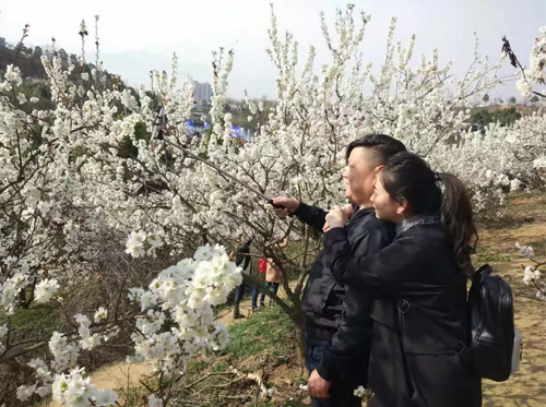 QQ图片20170308230553.png