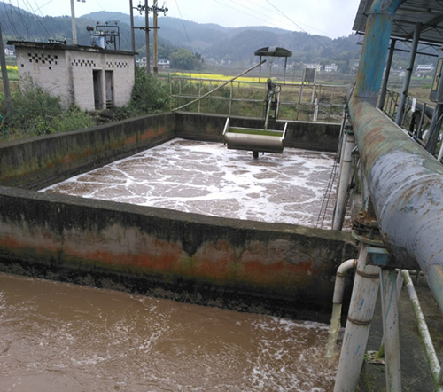 检查榨菜池1.jpg