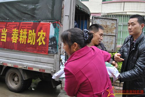 下肥料.JPG