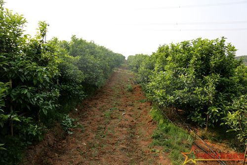 OW1A0970_副本.jpg