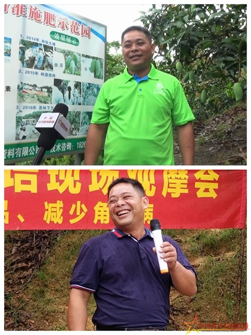 组合6.jpg