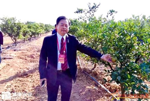 微信图片_20170616110931_副本_副本.jpg