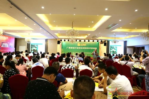 OW1A9998_副本.jpg