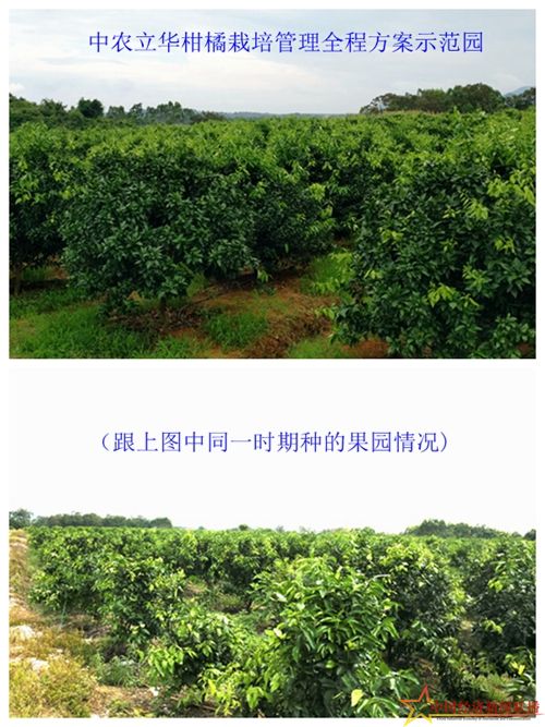 组合2_副本.jpg