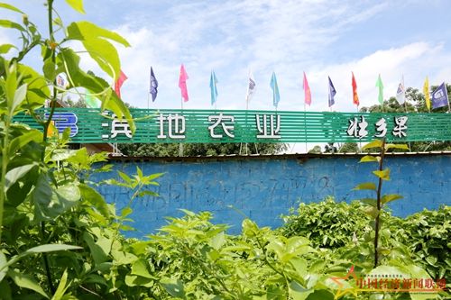 OW1A5525_副本.jpg