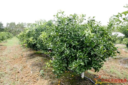 OW1A5542_副本.jpg